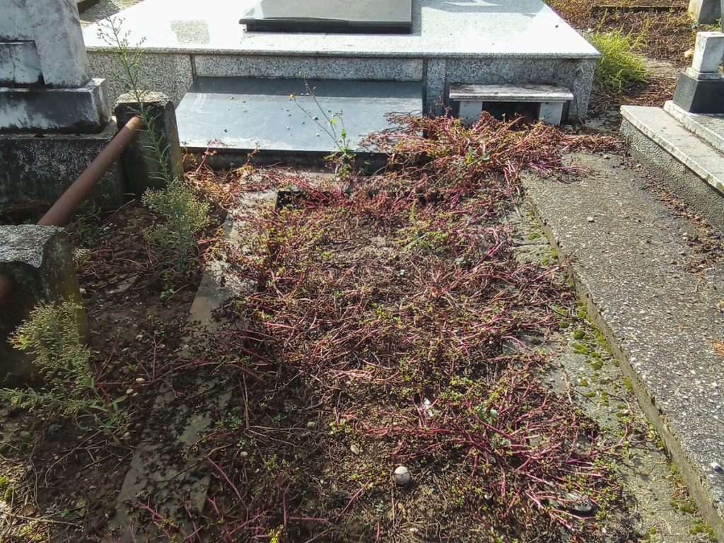 Фотографија гробног места