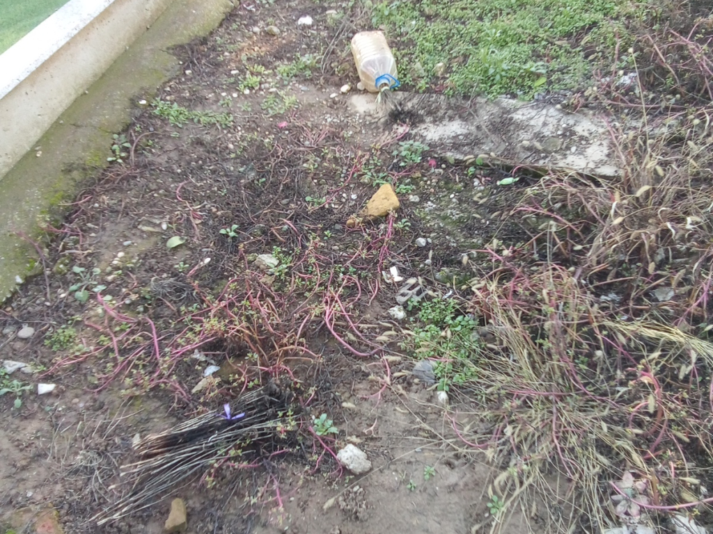 Фотографија гробног места